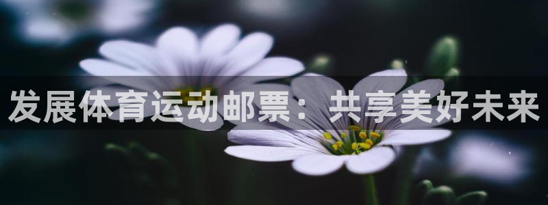 风速体育苹果手机下载app