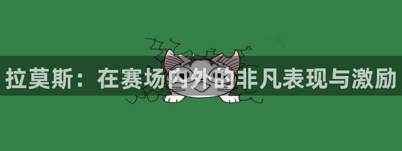 风速体育在线直播