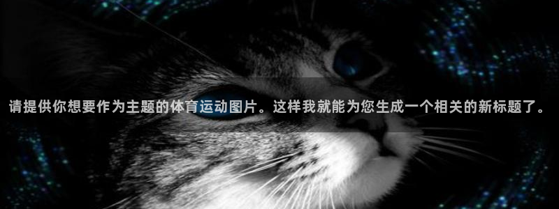 风速体育收费吗
