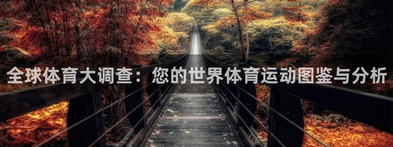风速体育收费吗：全球体育大调查：您的世界体育运动图鉴与分析