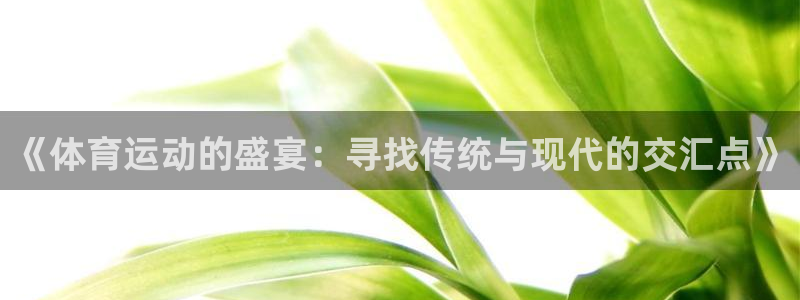 风速体育直播篮球nba：《体育运动的盛宴：寻找传统与现代的交汇点》