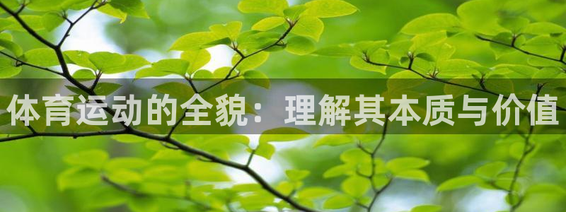 风速体育直播app官方入口