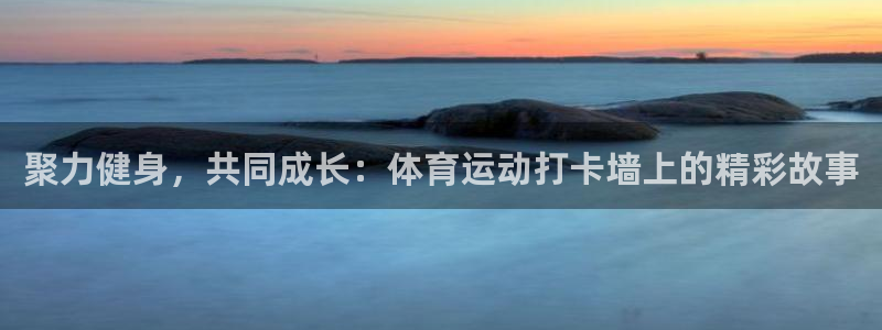 风速体育app下载官网最新版