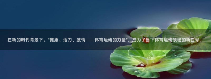 风速体育在线