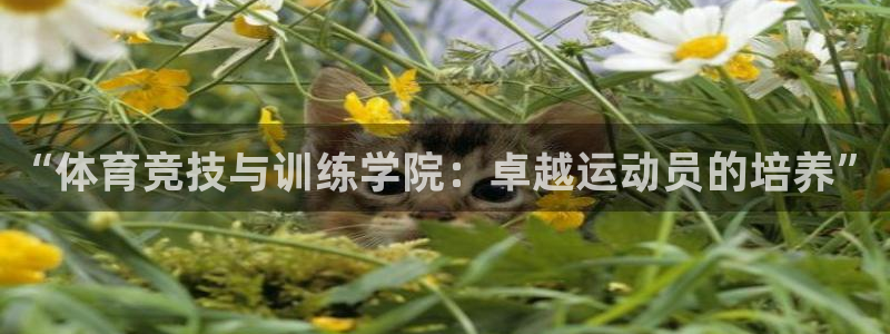 风速体育下载