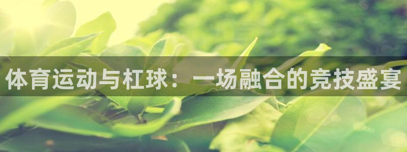 风速体育在线