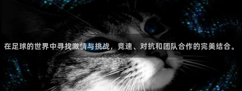 风速体育app下载安装最新版本